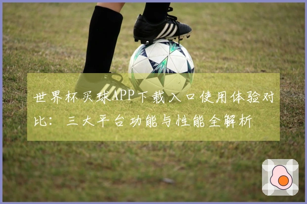 世界杯买球APP下载入口使用体验对比：三大平台功能与性能全解析