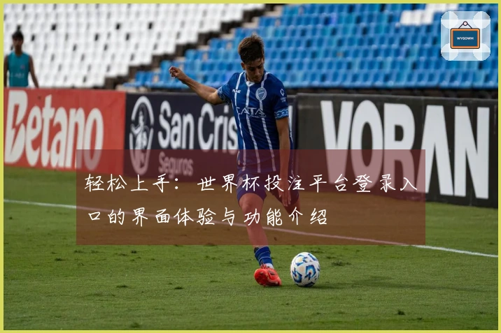 轻松上手：世界杯投注平台登录入口的界面体验与功能介绍