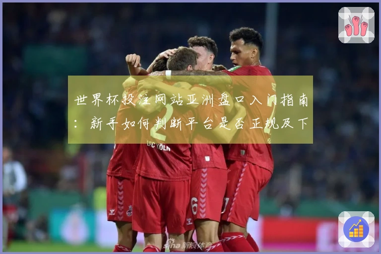 世界杯投注网站亚洲盘口入门指南：新手如何判断平台是否正规及下注注意事项