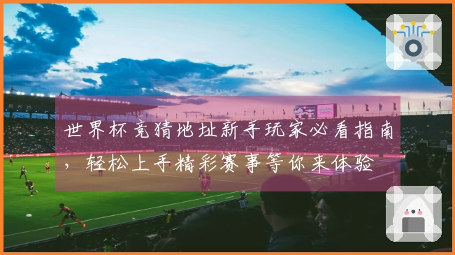 世界杯竞猜地址新手玩家必看指南，轻松上手精彩赛事等你来体验