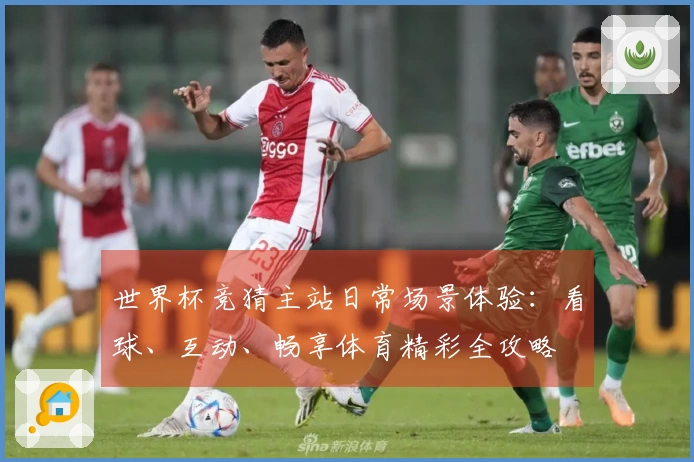 世界杯竞猜主站日常场景体验：看球、互动、畅享体育精彩全攻略