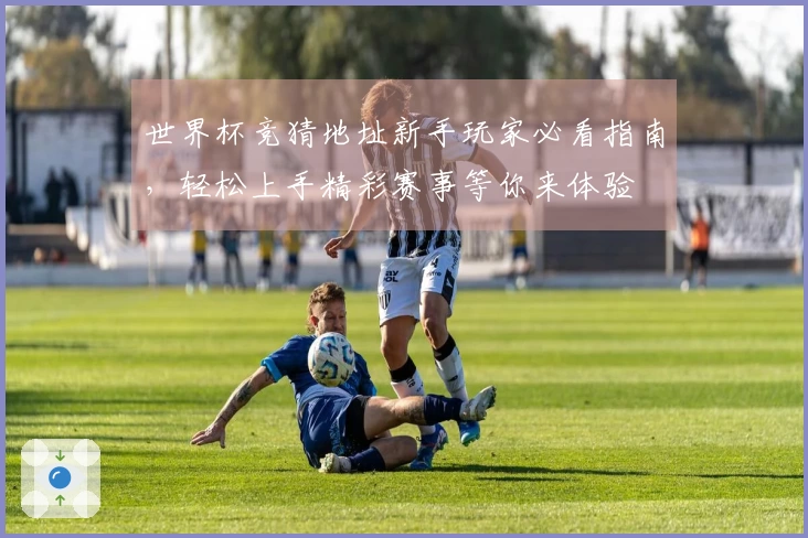 世界杯竞猜地址新手玩家必看指南,轻松上手精彩赛事等你来体验