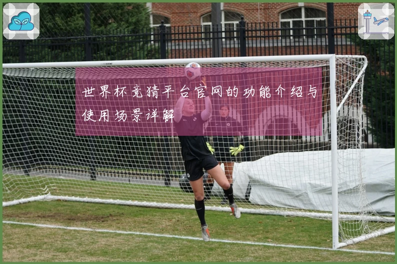 世界杯竞猜平台官网的功能介绍与使用场景详解