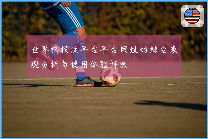世界杯投注平台平台网址的综合表现分析与使用体验评测
