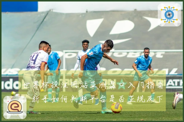 世界杯投注网站亚洲盘口入门指南：新手如何判断平台是否正规及下注注意事项